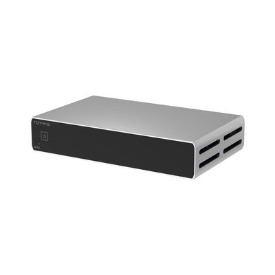 TOPPING B100 Mono Block Power Amplifier - 100W Output,151dB SNR/DNR, Balanced/Single-Ended Inputs, 3 Gain Modes, 12V Trigger (TOPPING B100-Silver)
