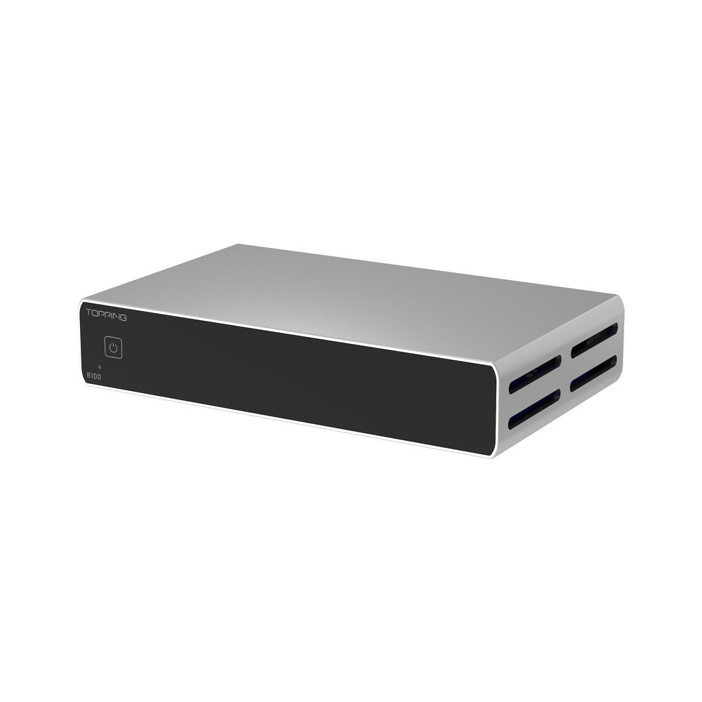 TOPPING B100 Mono Block Power Amplifier - 100W Output,151dB SNR/DNR, Balanced/Single-Ended Inputs, 3 Gain Modes, 12V Trigger (TOPPING B100-Silver)