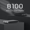 TOPPING B100 Mono Block Power Amplifier - 100W Output,151dB SNR/DNR, Balanced/Single-Ended Inputs, 3 Gain Modes, 12V Trigger (TOPPING B100-Silver) view 3