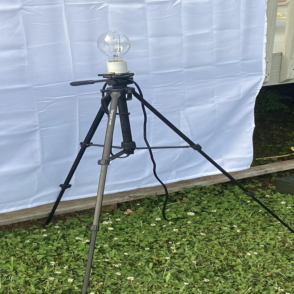 Professional Moth/Insect Collecting Light Set up / 175 watt Mercury Vapor