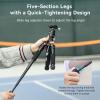 Bundle: SmallRig VT-20 Aluminum Mini Tripod with Tripod Fluid Head Pan Tilt Head with Quick Release Plate view 4