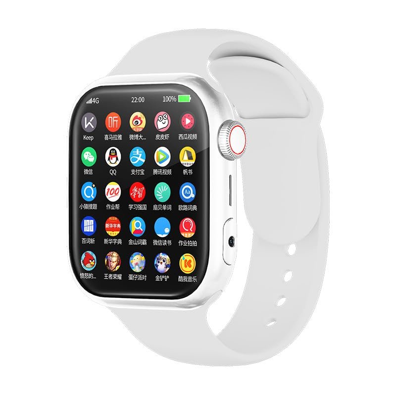 AI Smart Watch(GPT-4o) with AMOLED Touch Screen, Aggregate Search, Role Play, AI Friends, AI Local Memory & AI workflow Design/Run & Heart Rate, IP67 Waterproof, Black (Silver)