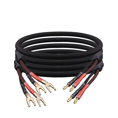 AISEER 1 Pair HiFi Speaker Cable Audio Amplifier Cable High Purity Oxygen-Free Copper with Banana 24K Gold Plug Cable(1 Meters)