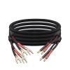 AISEER 1 Pair HiFi Speaker Cable Audio Amplifier Cable High Purity Oxygen-Free Copper with Banana 24K Gold Plug Cable(1 Meters) view 1