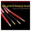 AISEER 1 Pair Oxygen-Free Copper OFC Audio HiFi Speaker Cable Banana Plug to Banana Plug Speaker Cable Center Audio Speaker Cable(1 Meters) view 2