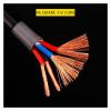 AISEER DIY Audio Cables HiFi Loud Speaker Wire Oxygen OFC Core Free Cooper Speaker Cable for Car Audio Home Theater Audio Wire(5 Meters) view 4