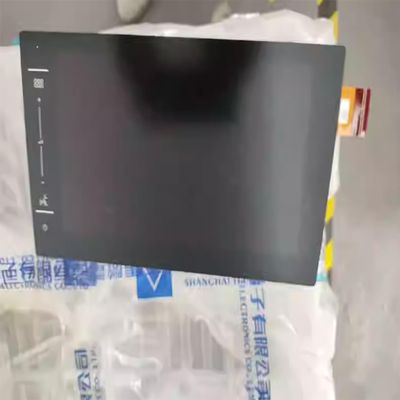 10.1 inch C101EAT03.0 LCD Display