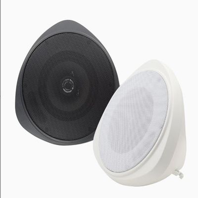 SP30PTB 70/25V 8 Ohm Hanging Pendant Speaker Black
