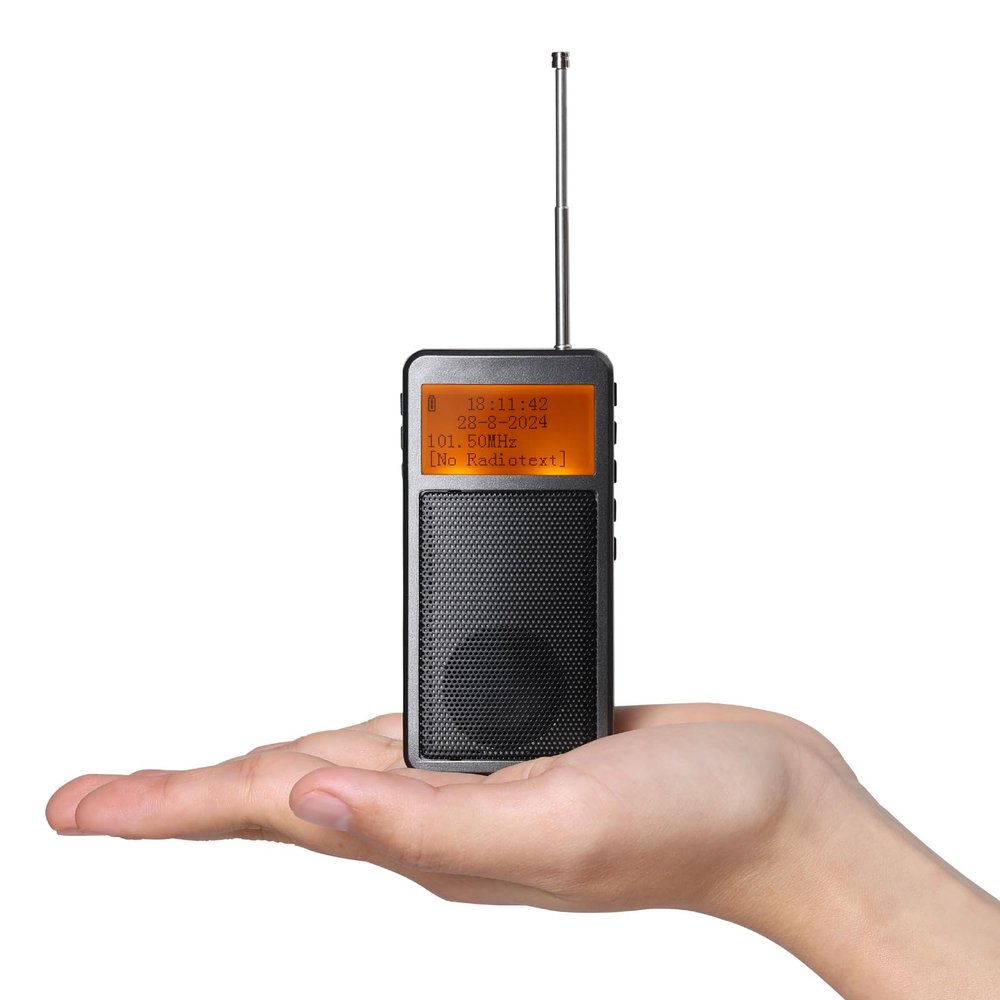 Raddy RF205 FM Radio with Bluetooth Headphone Output, Portable Pocket Mini Radio FM-to-Bluetooth, Dual-Mode BT Speaker & Wireless Transmitter, MP3 Music Player, Type-C Rechargeable, Grey