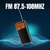 Raddy RF205 FM Radio with Bluetooth Headphone Output, Portable Pocket Mini Radio FM-to-Bluetooth, Dual-Mode BT Speaker & Wireless Transmitter, MP3 Music Player, Type-C Rechargeable, Grey view 2