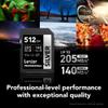 Lexar 512GB Professional Silver SD Card, UHS-I, C10, U3, V30, 4K, Up to 205/140 MB/s SDXC Memory Card, for Professional Photographer, Videographer, Enthusiast (LSDSILV512G-BNNNU) view 2