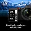 Lexar 512GB Professional Silver SD Card, UHS-I, C10, U3, V30, 4K, Up to 205/140 MB/s SDXC Memory Card, for Professional Photographer, Videographer, Enthusiast (LSDSILV512G-BNNNU) view 3