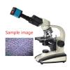 37MP 1080P 60FPS USB Industrial Microscope Camera with Conversion Adapter for Enhanced Imaging (US Plug) view 3