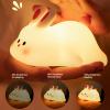 FRAGRANTGARDEN 2024 New Cute Pumpkin Night Light, Pumpkin Touch Lamp with 3 Levels of Brightness, Soft Silicone Rechargeable Warm Night Light for Woman and Kids (E-Rabbit+Pig) view 2