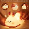 FRAGRANTGARDEN 2024 New Cute Pumpkin Night Light, Pumpkin Touch Lamp with 3 Levels of Brightness, Soft Silicone Rechargeable Warm Night Light for Woman and Kids (E-Rabbit+Pig) view 4