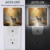 NEWzone Forest Tree Deer Night Light Plug into Wall with Dusk to Dawn Sensor LED Nightlight for Kid Girls Boys Room Decor, Hallway, Kitchen, Bathroom, Nursery, Stairs view 2