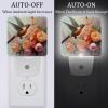 NEWzone Hummingbird and Roses Night Light Plug into Wall Decor 2 Pack, Decorative Night Light for Kids, Plug in Night Lights for Bedroom Living Room, Gift for Kids Adults view 2