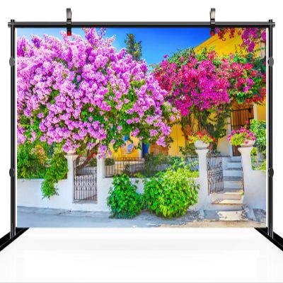 CHNYWORK 5x3ft Italy Backdrop Colorful House Yard with Blooming Flowers Italian Street Spring Scenery Background Italy Europe Travel Holiday Wedding Birthday Party Decorations Photo Shoot Props