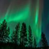 20x10ft Forest Backdrop Woodland Night Photography Background Green Aurora Backdrop Night Jungle Natural Landscape Background Decorations for Kids Adult Outdoor Adventure Photo Shot Props view 1