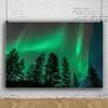 20x10ft Forest Backdrop Woodland Night Photography Background Green Aurora Backdrop Night Jungle Natural Landscape Background Decorations for Kids Adult Outdoor Adventure Photo Shot Props view 2