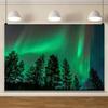 20x10ft Forest Backdrop Woodland Night Photography Background Green Aurora Backdrop Night Jungle Natural Landscape Background Decorations for Kids Adult Outdoor Adventure Photo Shot Props view 4