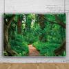 15x10ft Forest Backdrop Tropical Rain Forest Photography Background Path Backdrop Natural Tropical Jungle Landscape Background for Kids Adult Holiday Tourism Banner Photo Shot Props view 2
