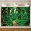 15x10ft Forest Backdrop Tropical Rain Forest Photography Background Path Backdrop Natural Tropical Jungle Landscape Background for Kids Adult Holiday Tourism Banner Photo Shot Props view 4