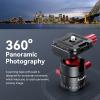 Bundle: SmallRig Tripod for iPhone Desktop Mini Tripod 3033+SMALLRIG SSD Holder 2-in-1 SSD Mount Bracket for MagSafe with Cold Shoe Cable Clamp 4779 view 4