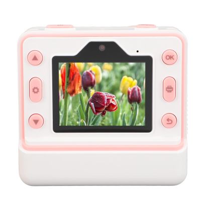 1080P HD 48MP Dual Lens 2.4 Inch Screen Photo Video Camera 16X Zoom Flash Timing Function Photography Camera for Creative Journaling (Akozonu1pgzsybi4-11)