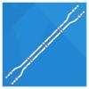 BAILIHONG 2pcs LED Backlight Strip UN32T4300AG UE32T4307 UE32N4000 UN32N4000 UN32J4290 UE32T4300AK UE32T4307AK UE32N4000AK UA32J4303 view 1