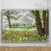 10x6.5ft Spring Garden Backdrop Spring Forest Park Photography Backdrop Blooming Tulip Flowers White Flowers Background Children Spring Outdoor Outing Art Portraits Photo Studio Props view 2