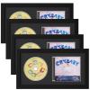 Allenkwok Solid Wood CD Display Frame for CD Cases and Discs with EVA Foam Lining and Black Flocked Fabric, Wall Mountable, Acrylic Cover, Elegant Home Decor, (4-pack 7.7x14.4 Black) view 1