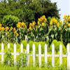 10x8ft Spring Backdrop Sunflower Garden Photography Background Green Grass Backdrop Forest Park Natural Landscape Background Birthday Kids Boy Spring Tour Photo Shoot Photo Props view 1