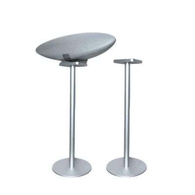 ZGOUO Speaker Stand is Compatible with Bowers&Wilkins Zeppelin SpeakersUniversal for 5th and 6th Generation Made of Aluminum Alloy Material, recessed Design and Hidden Power Supply (Silver Pair)