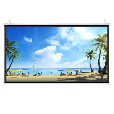 60 Inch Projector Screen Projection Screen 72 Inch Manual Pull Down HD Screen Widescreen Public Display Screen for Office Home Theater Movie Outdoor Indoor 4K 3D 4:3 16:9(4:3,60inch)