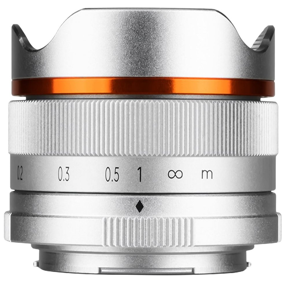 Brightin Star Fisheye Lens MF 10mm F5.6 Fish-Eye Silver Sony E-Mount for APS-C Format Manual Focus 172 Angle of View