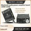 HIFIDIY LIVE Y100H TPA3116D2 Bluetooth 5.1 Digital Power Amplifier Board 100W X 2 Speaker Stereo Audio AMP Module Home Music Input DC12-24V view 2
