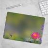 A case for MacBook Air - MacBook Air 15 A3114 A2941. Hard Plastic case - Beautiful Lotus Flower Scene Nature view 3