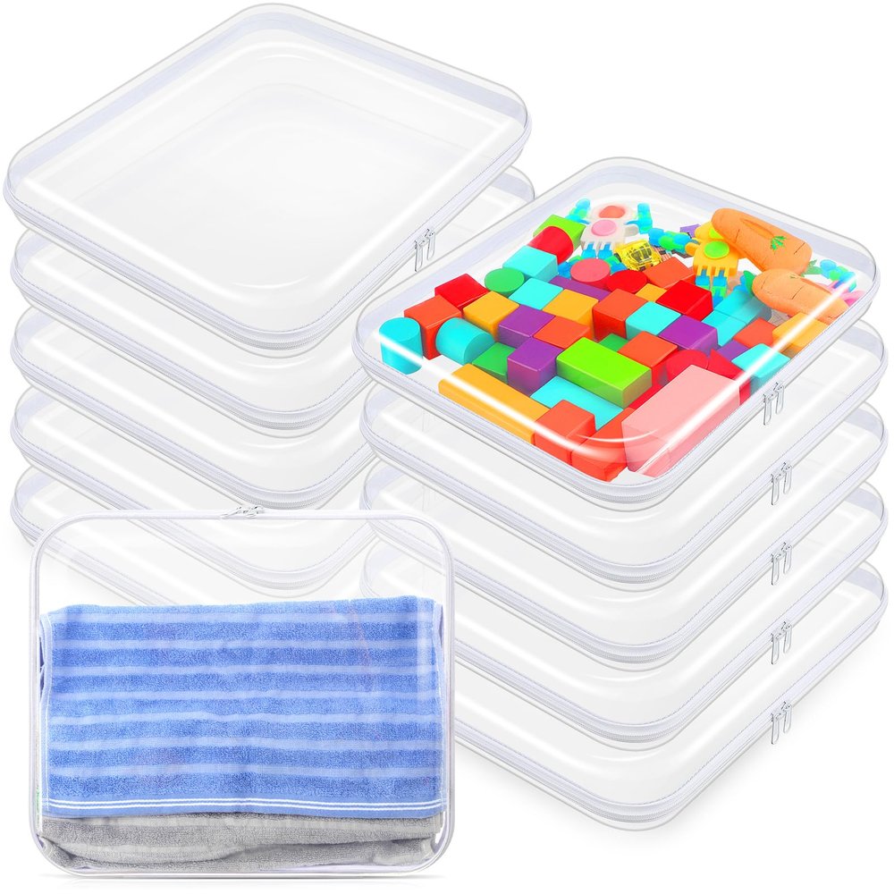 Sanwuta 10 Pcs Hard Zipper Case Clear Hard Pouch, L, Clear
