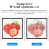 3D Hologram Fan, 17.7 inch 3D Hologram Projector Advertising Display, 576 LED Beads, 2000*1152, Support Phone APP, for Store Signs, Bars, Party (US Plug) view 3