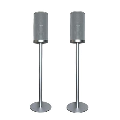 ZGOUO Speaker Stands Compatible with Sony HT-A9 7.1.4ch High Performance Home Theater Speaker SystemThe Stand can Hide The Power Cord and is Made of Aluminum Alloy Material (Silver Pair)