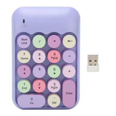Bewinner Cordless Numeric Keypad, 18 Keys Retro Mini Number Keyboard with USB Receiver for Laptop, Office Girls and Family (Theme)