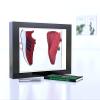 FXNFXLA Floating Shoe Display Stand, Levitating Shoe Display, 360 Degree Rotating Magnetic Levitation Sneaker Rack Holder, 16 Colors LED Light Levitation Shoe Rack for Advertising Exhibition view 2