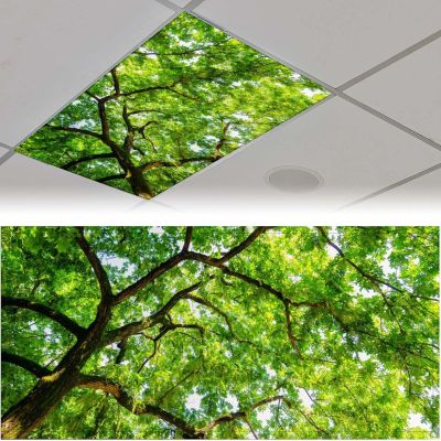 2Pcs Tree Fluorescent Light Covers for Ceiling Lights Classroom, Magnetic Light Filters for Office, Classroom, Home 4 X 2 Feet