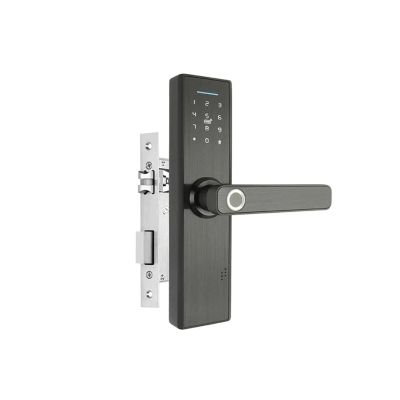 QDVOPHZA WiFi Electronic Door Lock with Tuya APP Remotely/Biometric Fingerprint/Smart Card/Password/Key Unlock FG5 Plus/ H4(FG5 Plus-22x170 5050)