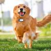 1080P Pet Camera with Video Record, Mini Sport Cam, Small Action Cameras, Body Camera for Cat Dog, with Back Clip 30FPS Loop Video Recording, Magnetic 120 Wide Angle 800mAh view 2