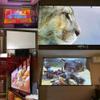 FIEZFEAT Projector Screen Anti Light 16: 9 Hanging Projector Screen 60" 72" Indoor Home Theater Movie Screen, Full HD Projection Screen for Cinema Office Video Game(16:9,60in) view 4