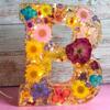 Handmade Floral Night Light, Floral Resin Night Light Letter, Floral Resin Letter Lamp with LED Light, Handmade Floral Resin Letter Night Light, Personalized DIY Floral Letter Name Night Light (B) view 1