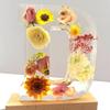 Handmade Floral Night Light, Floral Resin Night Light Letter, Floral Resin Letter Lamp with LED Light, Handmade Floral Resin Letter Night Light, Personalized DIY Floral Letter Name Night Light (D) view 1