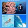 Diving Protective Shell for GO3S, 40M Underwater Diving Protective Shell with Bracket, Housing Case, Underwater Diving Housing Shell view 3